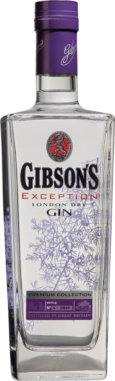 Produktbild för Gibson's Exception